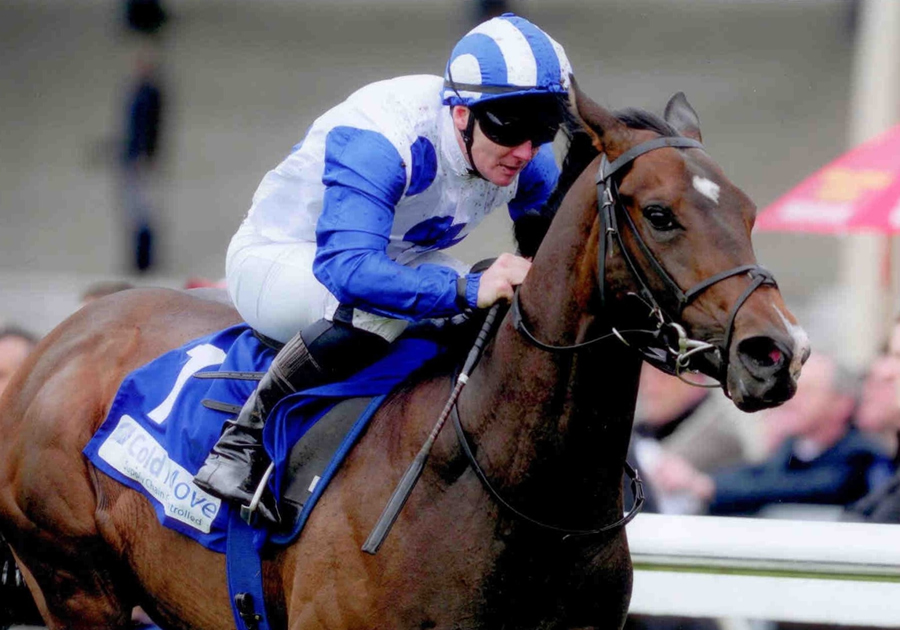 Cappella Sansevero Curragh Sat 24th May 2014